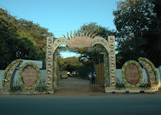 gallery0